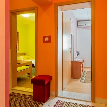 Danica מסלניקה