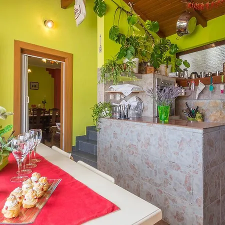 Danica מסלניקה