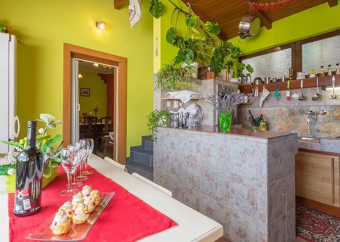 Danica Масленица